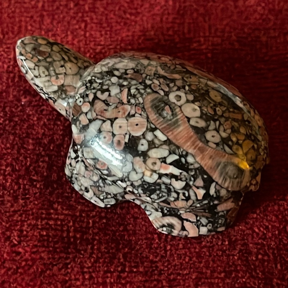 Vtg Crinoid Fossil Carved Turtle Sculpture, Small Paperweight, Collectable Stone